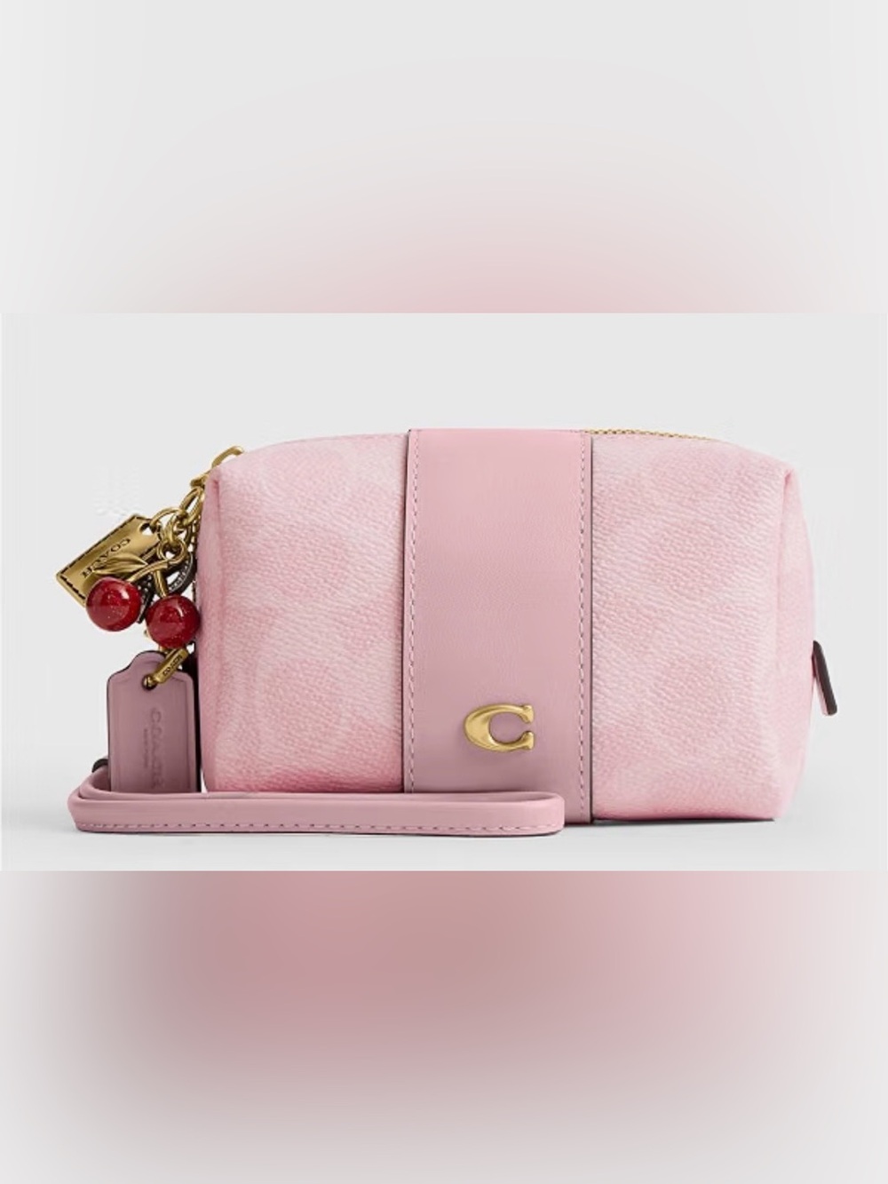 Coach Signature Essential Mini Cosmetic Pouch With Charms